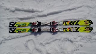 20140329racetiger-sl.jpg