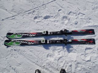 P2220014_s.jpg
